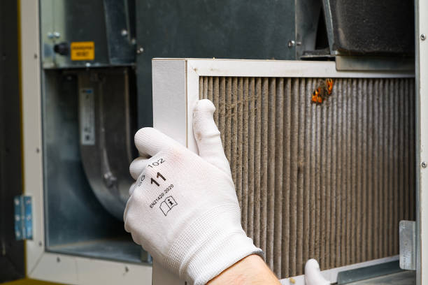 Best HVAC System Cleaning  in Memphis, MI