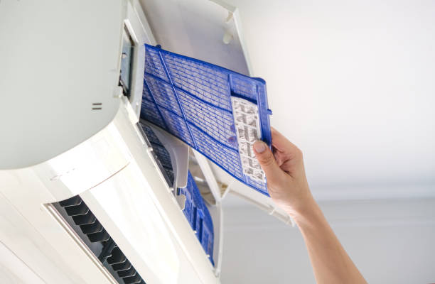 Best Air Vent Cleaning Services  in Memphis, MI